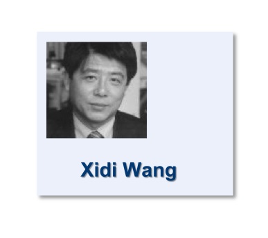 Xidi Wang